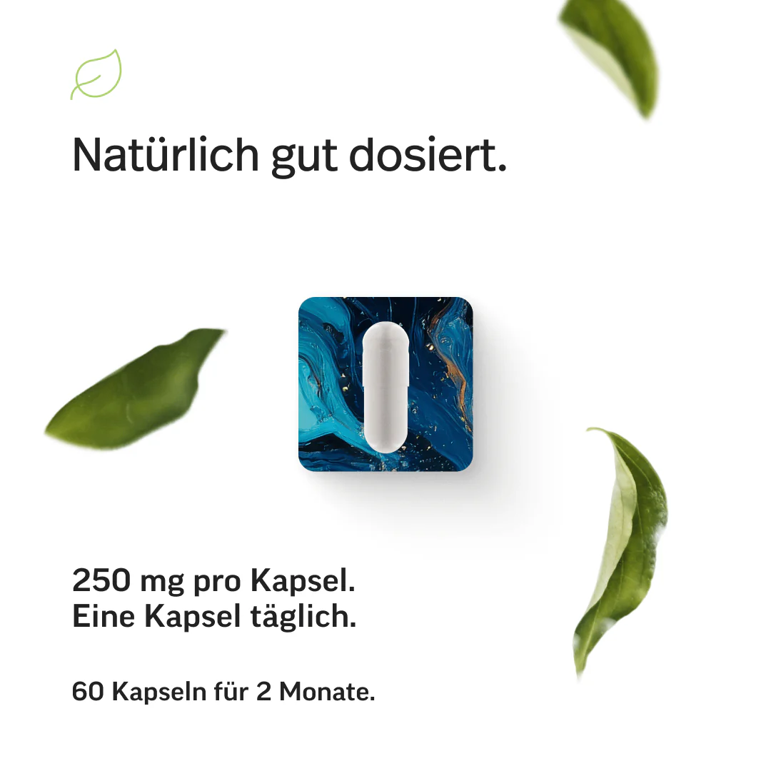 Produktbild 6