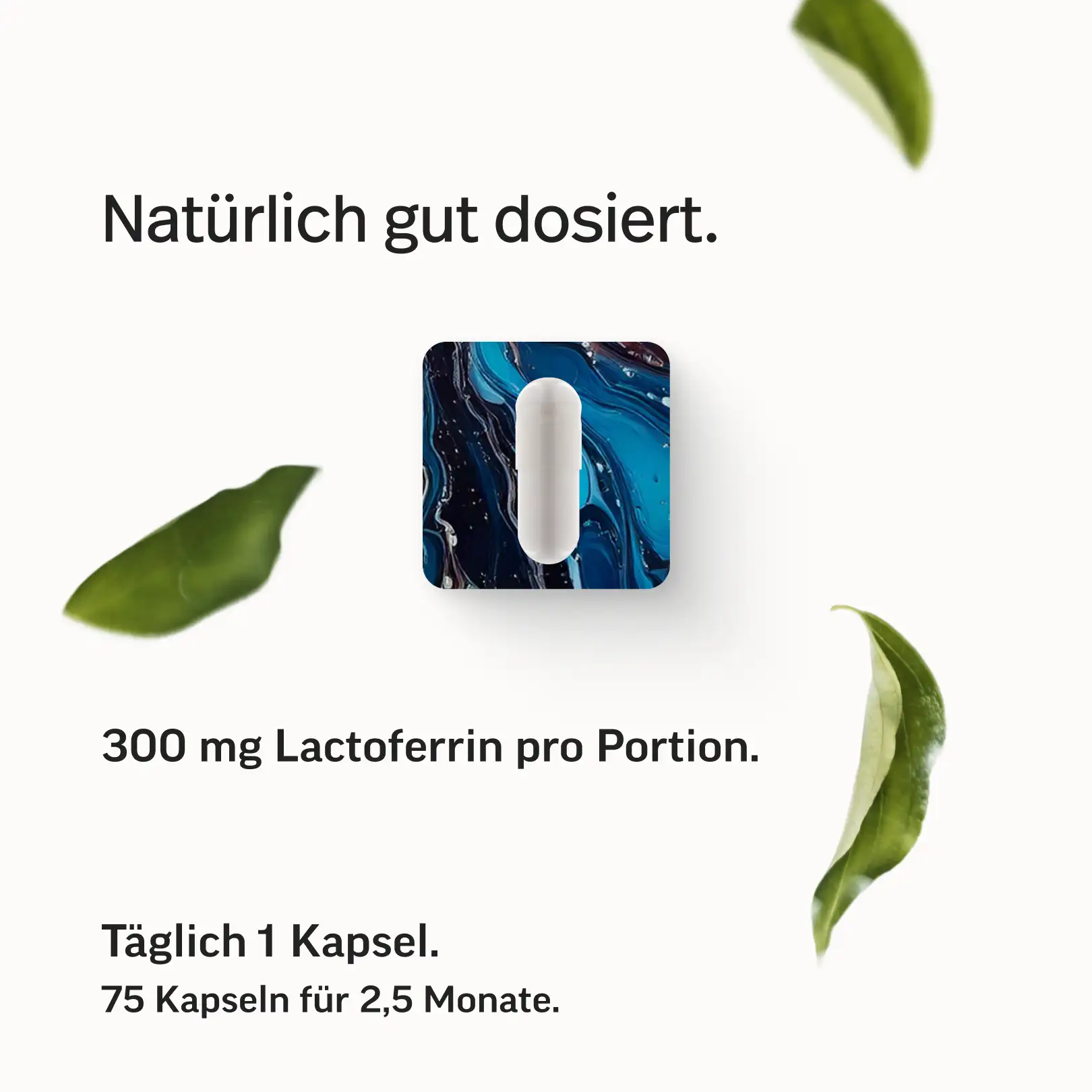 Produktbild 6