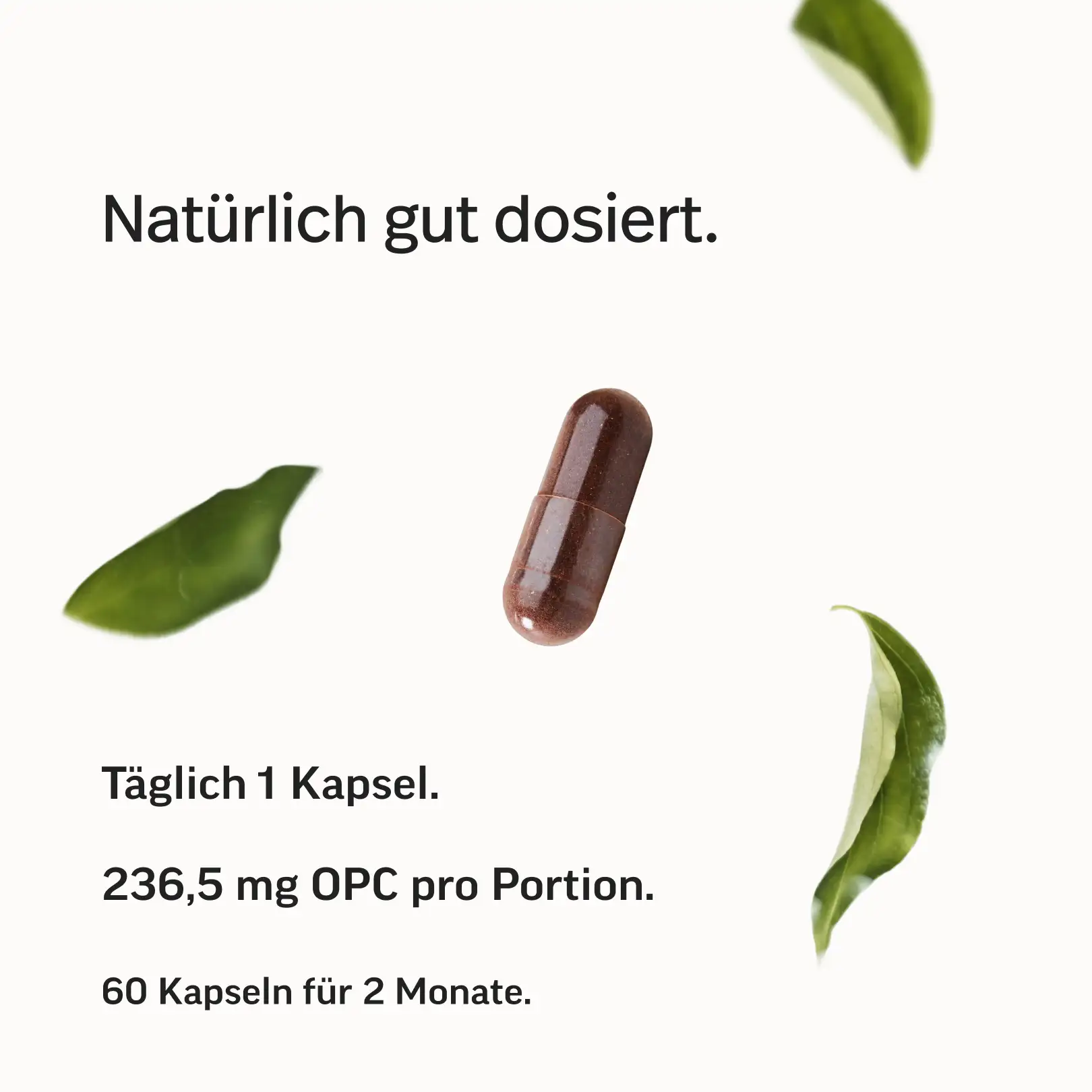 Produktbild 6